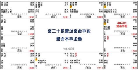 2024 紫微